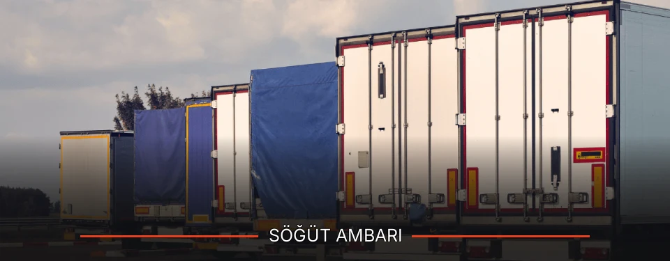 Söğüt Ambarı